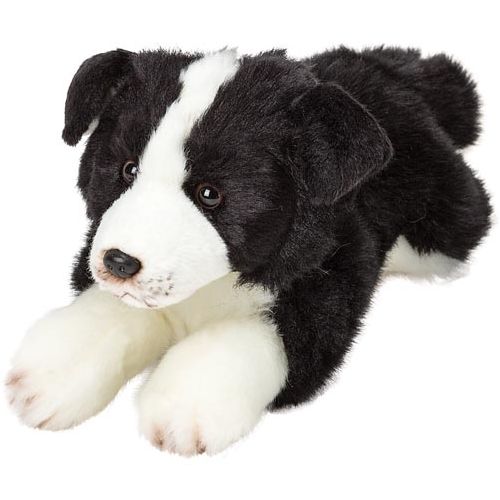 Resting Border Collie - Soft Cuddle Friend